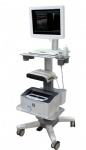 Touch Screen Trolley B/W Ultrasound Diagnosis